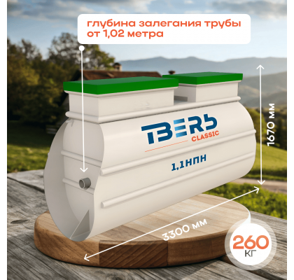 1,1НПН карточка